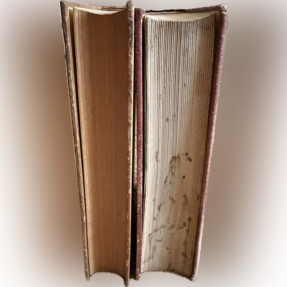 Vintage Book Set Morals & Dogma + American College Fraternities
Décor Pair - Picture 4 of 12